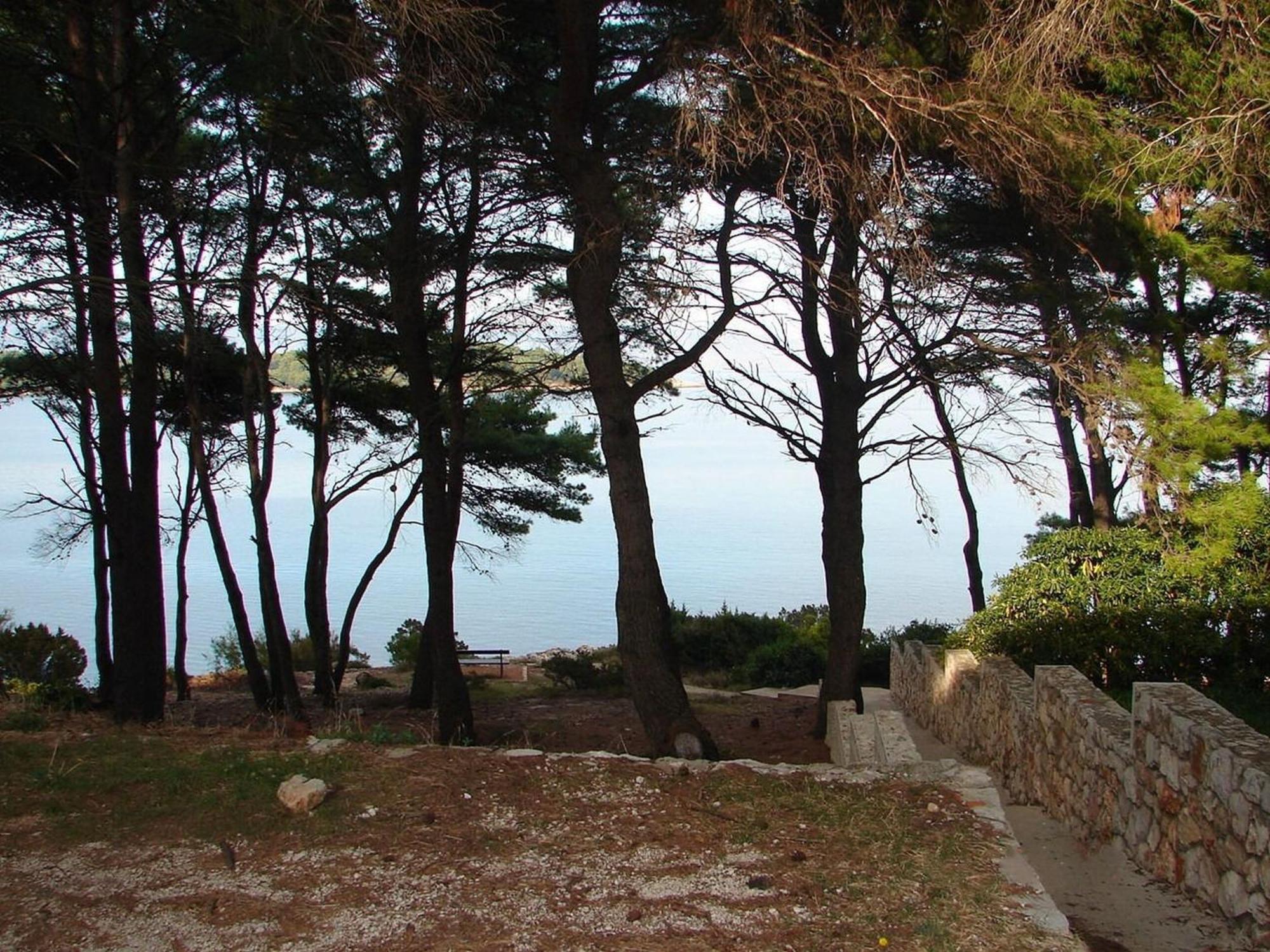 Apartments Matkov - Quite And Peaceful Location Jelsa  Exterior foto